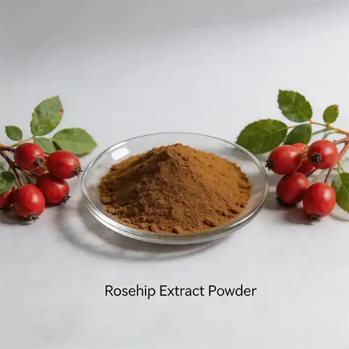 Can Rosehip Extract Powder Boost Immune Health?